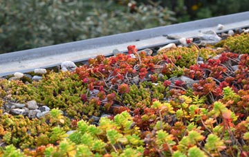 the cost of Victoria Bridge green roof installation