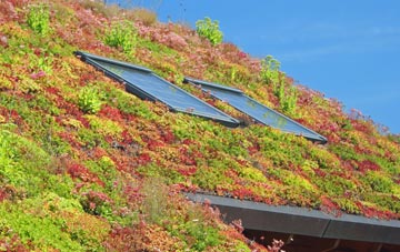 Victoria Bridge living roof systems
