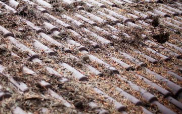 Victoria Bridge roof cleaning companies