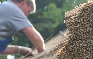 professional Victoria Bridge thatchers