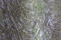 Victoria Bridge fibreglass roof work